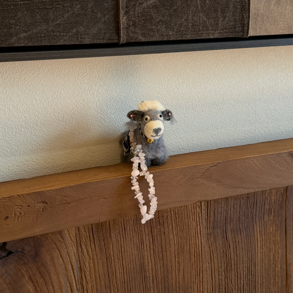 Mini Career Yak – Focus & Forward Momentum