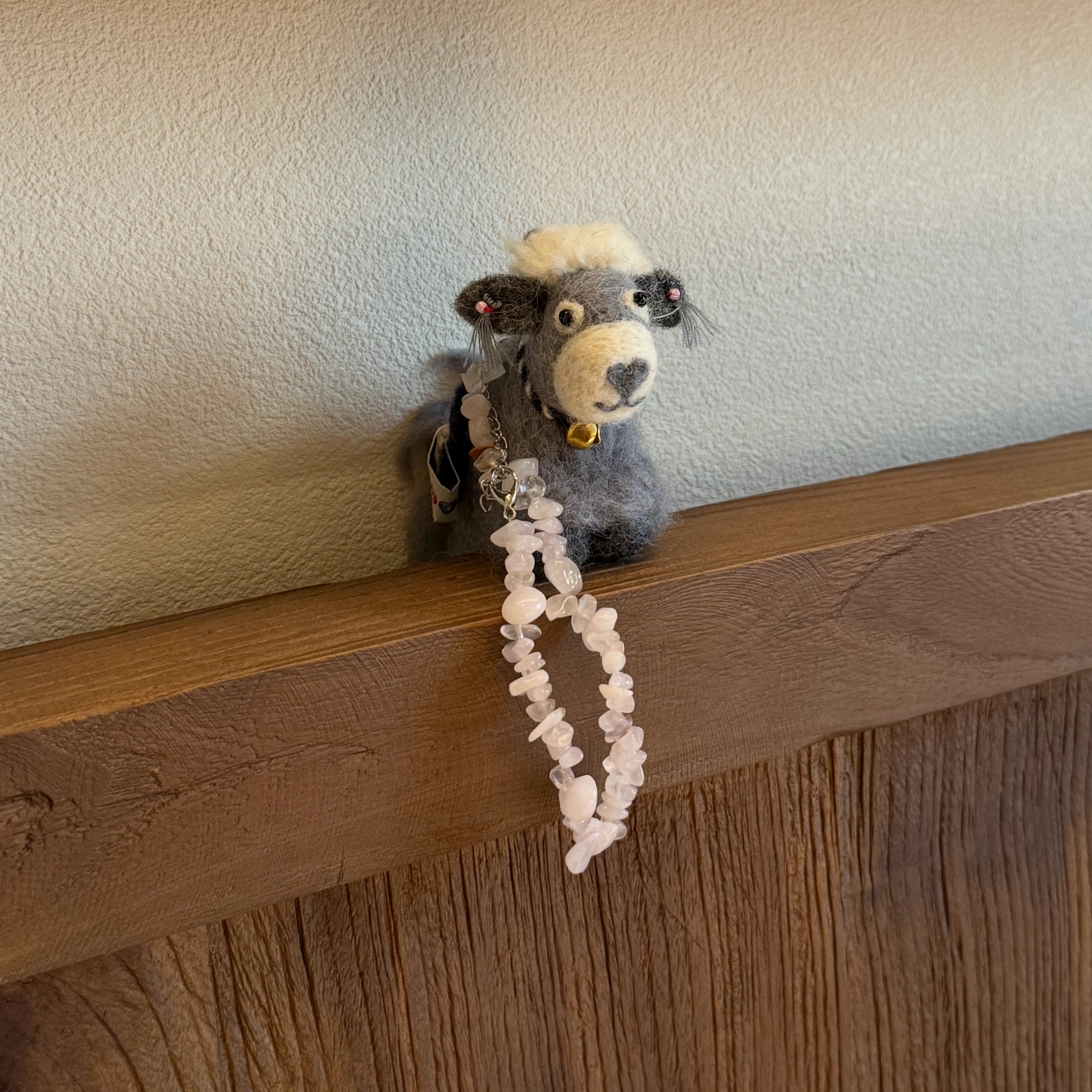 Mini Career Yak – Focus & Forward Momentum