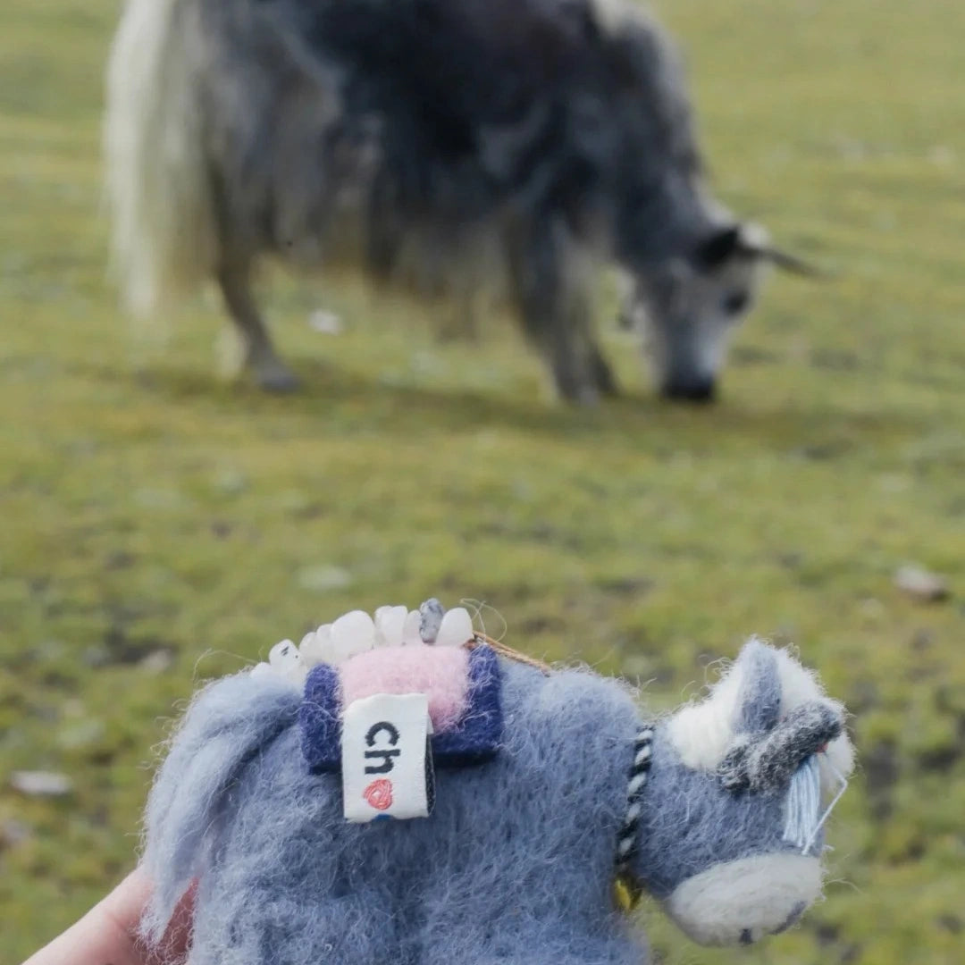 Mini Career Yak – Focus & Forward Momentum