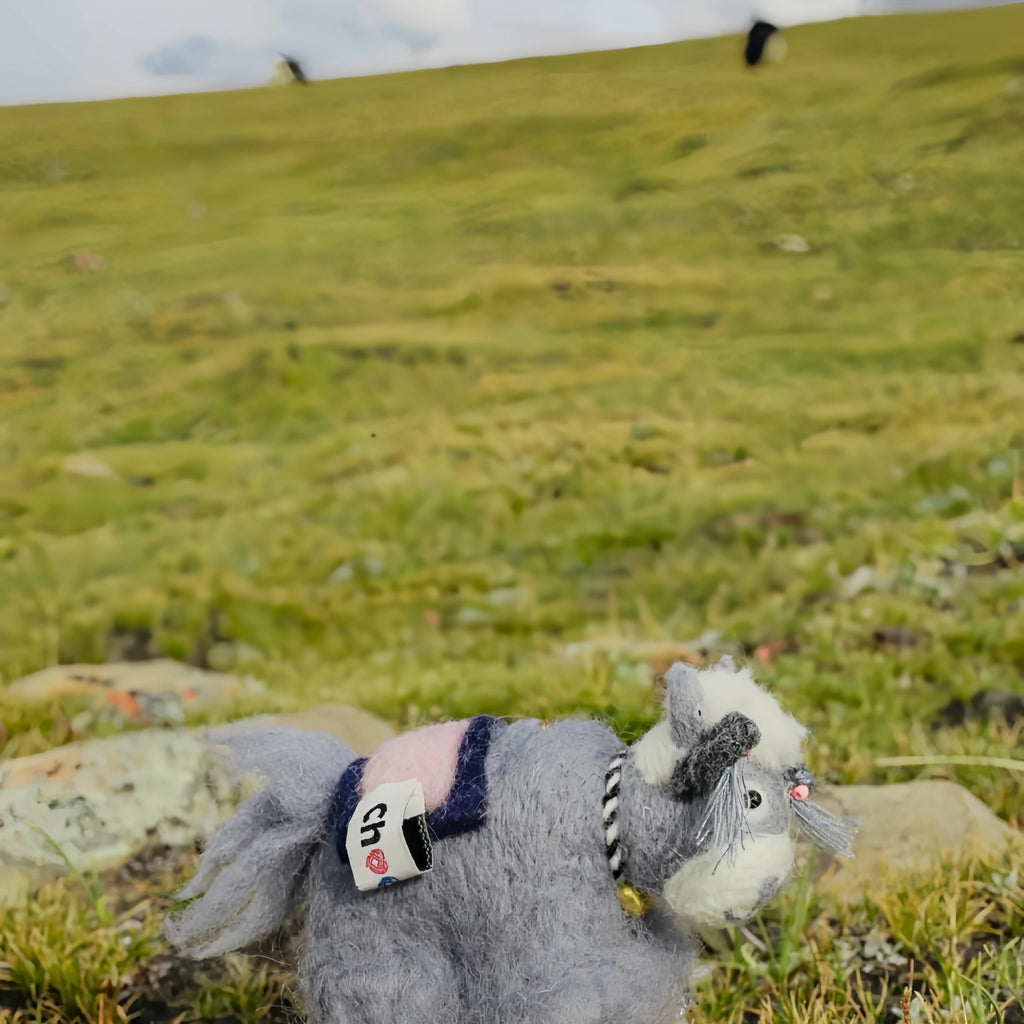 Mini Career Yak – Focus & Forward Momentum